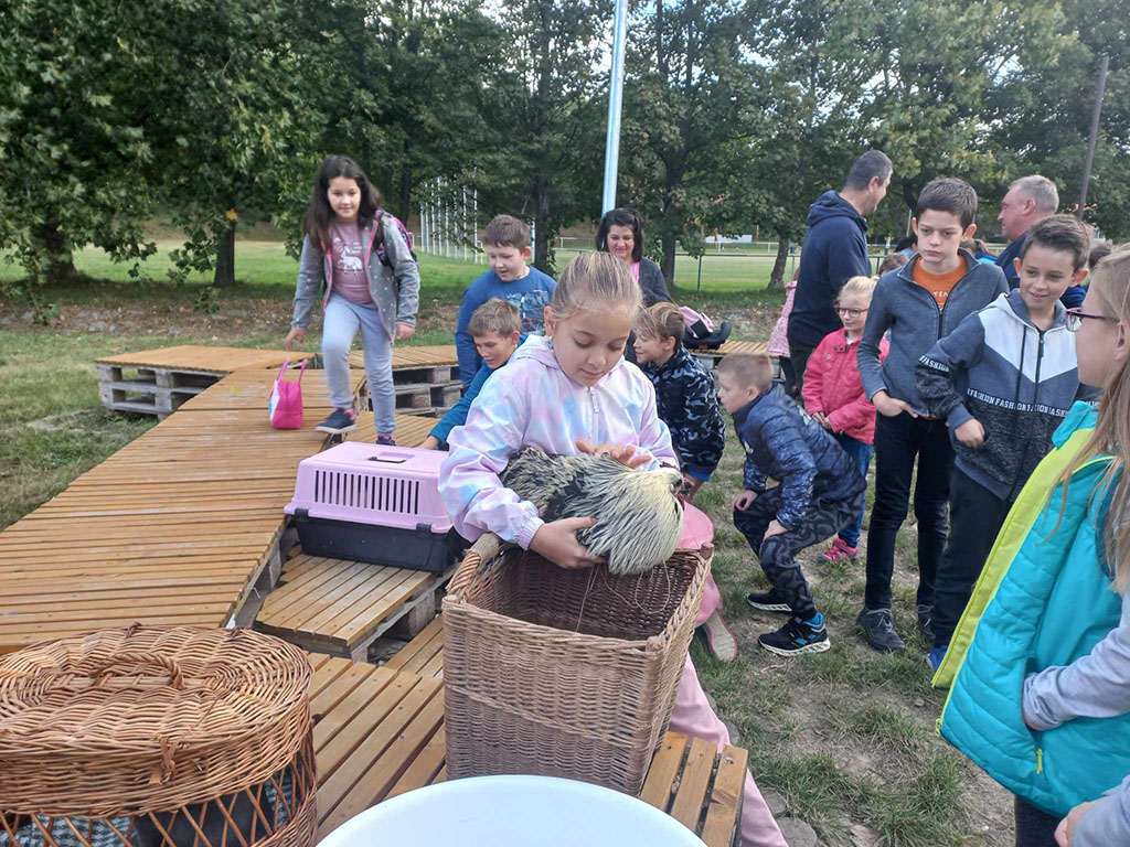 Állatok világnapja (2023.10.04.) képei