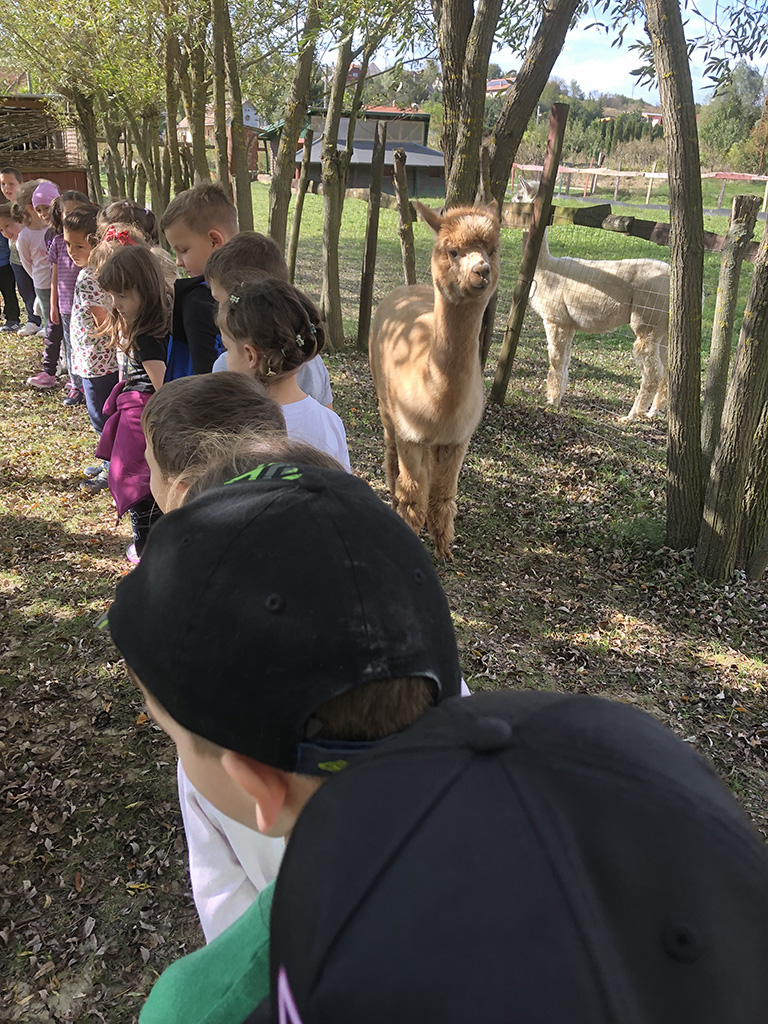 Kirándulás a Seholsziget Természetparkban (2023.10.17.) képei